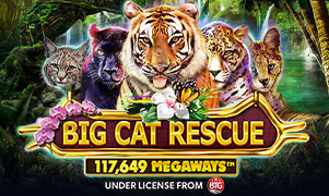 58win Big Cat Rescue Megaways